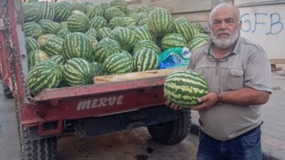 Yerköy’de yazın habercisi olan yerli karpuz hasadı başladı. Bu yıl