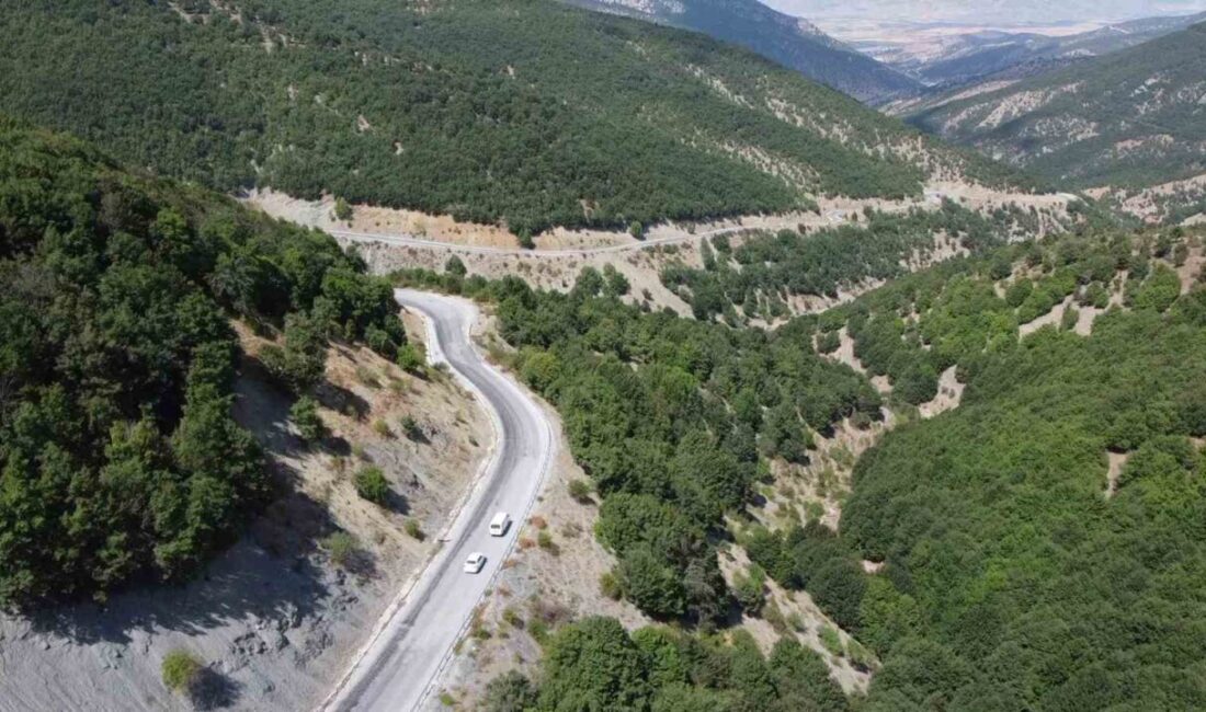 Yozgat'taki Aydıncık Şebek Pınarı Yaylası, bin 550 metre yükseklikte bulunan