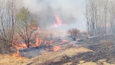 Yozgat'ın Fakıbeyli ve Topçu köylerinde çıkan yangınlarda 500 dönüm otluk