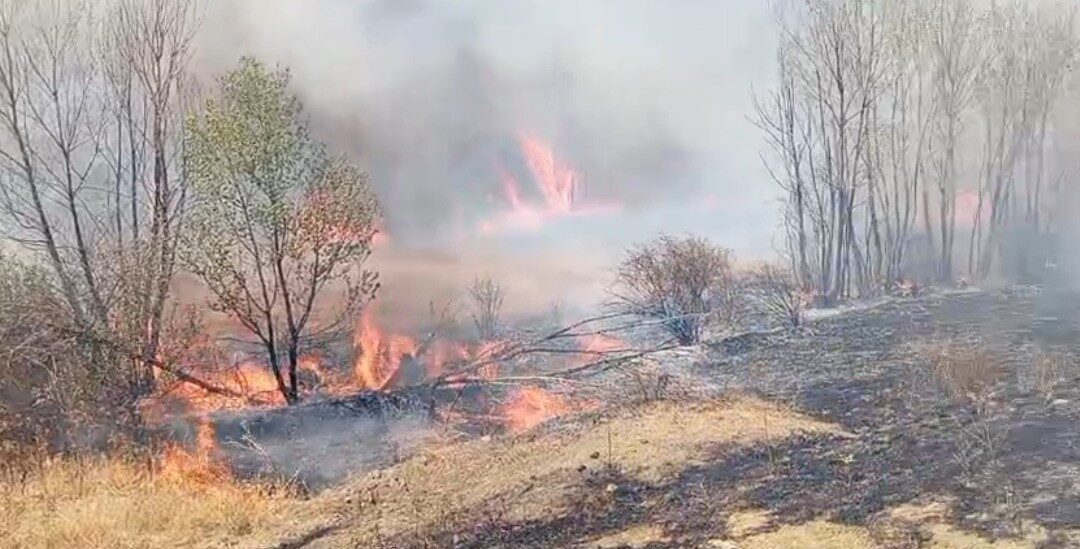 Yozgat'ın Fakıbeyli ve Topçu köylerinde çıkan yangınlarda 500 dönüm otluk