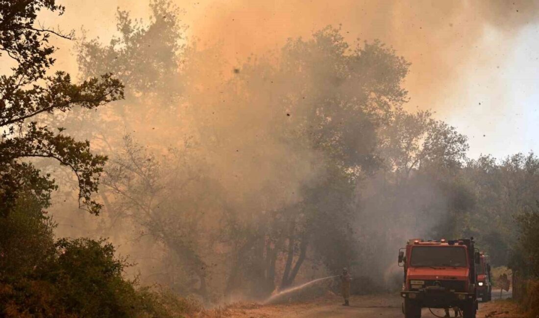 Yunanistan'daki orman yangınları, evleri ve iş yerlerini küle çevirirken Sakız,
