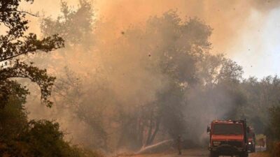 Yunanistan'daki orman yangınları, evleri ve iş yerlerini küle çevirirken Sakız,