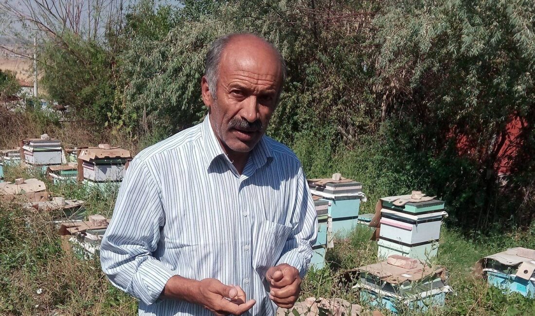 Yerköy’de arıcılık yapan Nusret Karadavut, artan arı ölümleri konusunda önemli