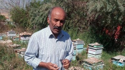 Yerköy’de arıcılık yapan Nusret Karadavut, artan arı ölümleri konusunda önemli