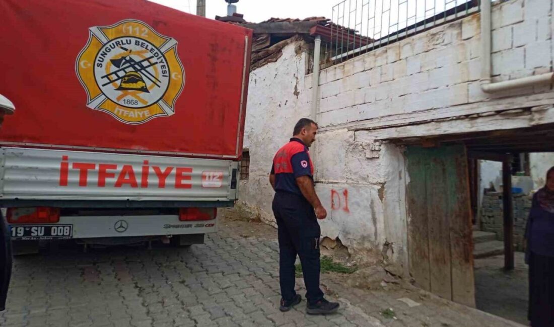 Çorum'un Sungurlu ilçesinde, 92 yaşındaki Zeynep Kırmaz'ın evinde ölü bulunmasıyla
