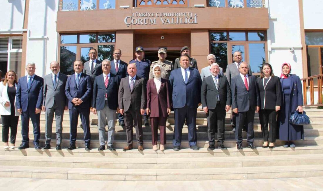 Aile ve Sosyal Hizmetler Bakanı Mahinur Özdemir Göktaş, Çorum'da yapılan