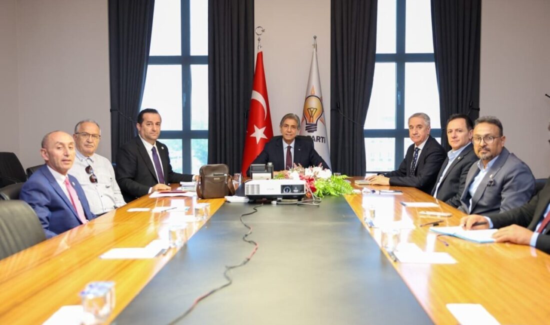 AK Parti Genel Merkezi Yerel Yönetimler Başkanı Mustafa Demir, rayiç