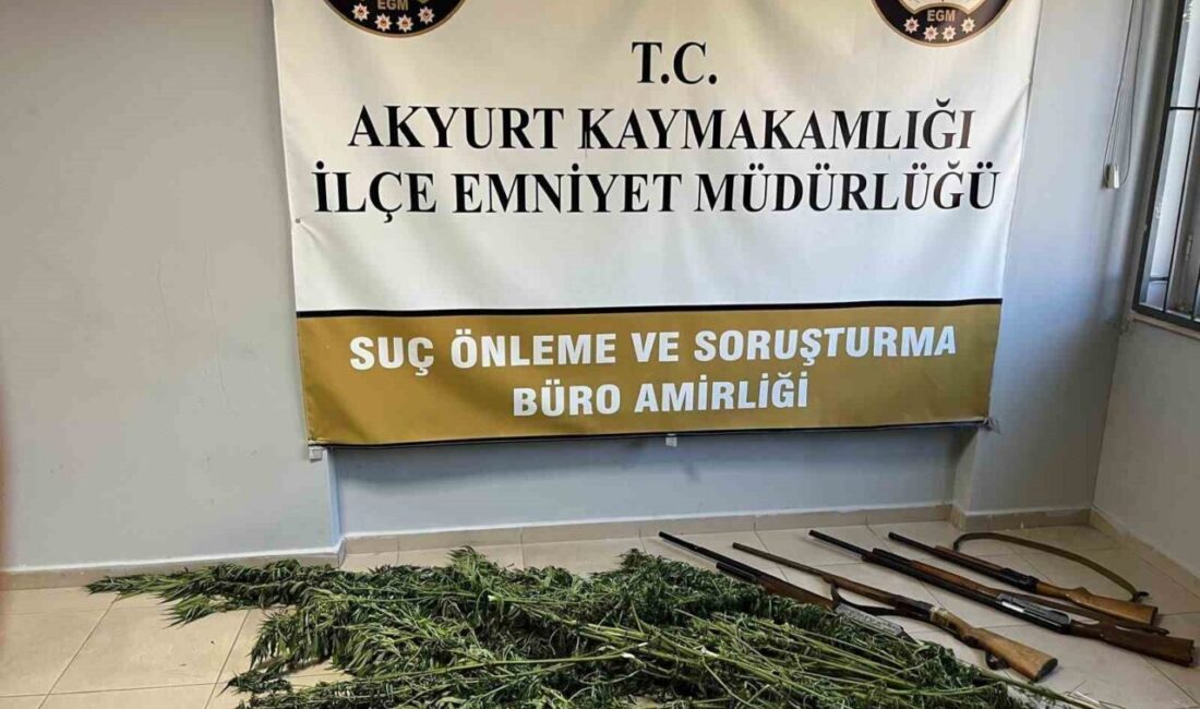 Akyurt'ta uyuşturucu operasyonunda Hint keneviri ve ruhsatsız tüfekler bulundu. Operasyonda
