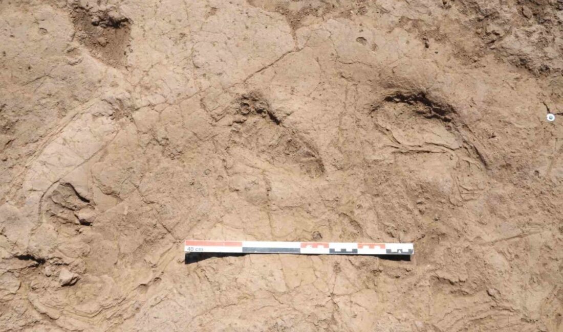 Hatay’ın Reyhanlı ilçesindeki Tell Kurdu Höyük kazılarında, M.Ö. 5200 yılına