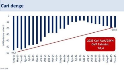 Hazine ve Maliye Bakanı Mehmet Şimşek, Temmuzda 1,8 milyar dolar