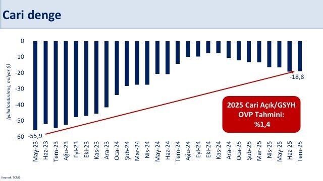 Hazine ve Maliye Bakanı Mehmet Şimşek, Temmuzda 1,8 milyar dolar