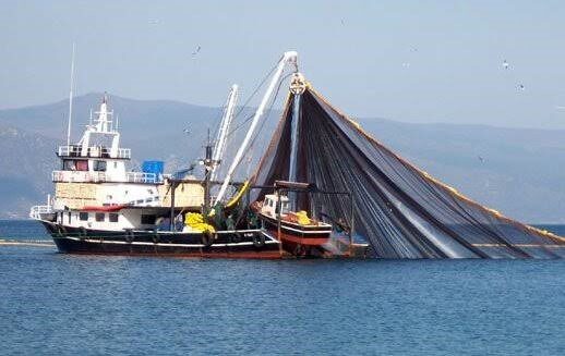 Ulaştırma ve Altyapı Bakanı Abdulkadir Uraloğlu, balıkçılık sektörüne verilen 18,4