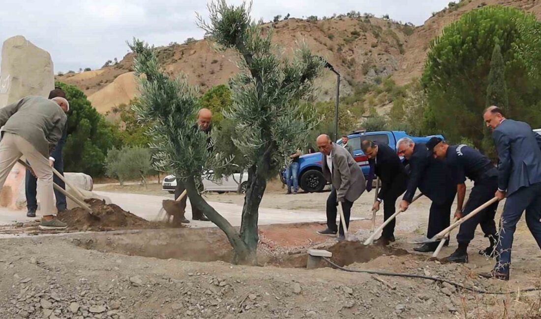Osmanlı Sadrazamı Baltacı Mehmet Paşa anısına Osmancık'ta anıt mezarın yanına