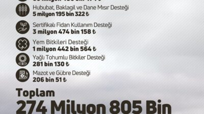 Tarım ve Orman Bakanı İbrahim Yumaklı, çiftçilere toplamda 274 milyon