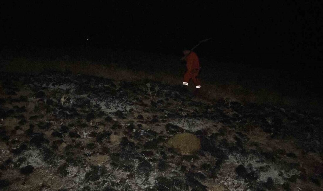 Çorum'da çıkan arazi yangını, itfaiye ve orman ekiplerinin müdahalesiyle ormana