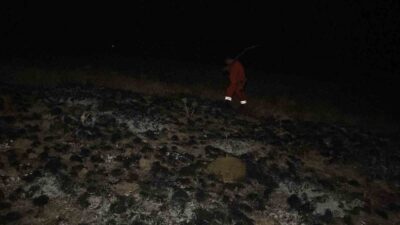 Çorum'da çıkan arazi yangını, itfaiye ve orman ekiplerinin müdahalesiyle ormana