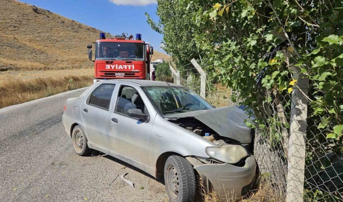 Alaca ilçesinde otomobil ile minibüsün çarpıştığı kazada, Mehmet Ş. ve