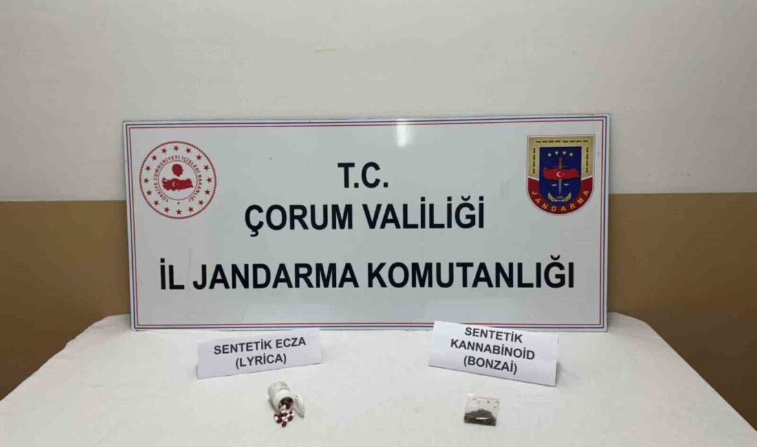 Çorum'un Alaca ilçesinde jandarma ekipleri yol kontrolünde araçta sentetik uyuşturucu