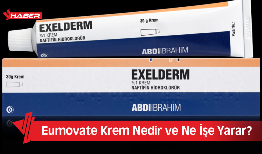 Edinilen bilgilere göre Exelderm Krem, etken maddesi naftifin hidroklorür olan,