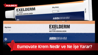 Edinilen bilgilere göre Exelderm Krem, etken maddesi naftifin hidroklorür olan,