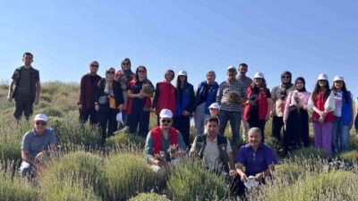 Yozgat'taki gençler, Lavanta Adası'nda düzenlenen 'Gönüllü Hasat Etkinliği' projesinde bir