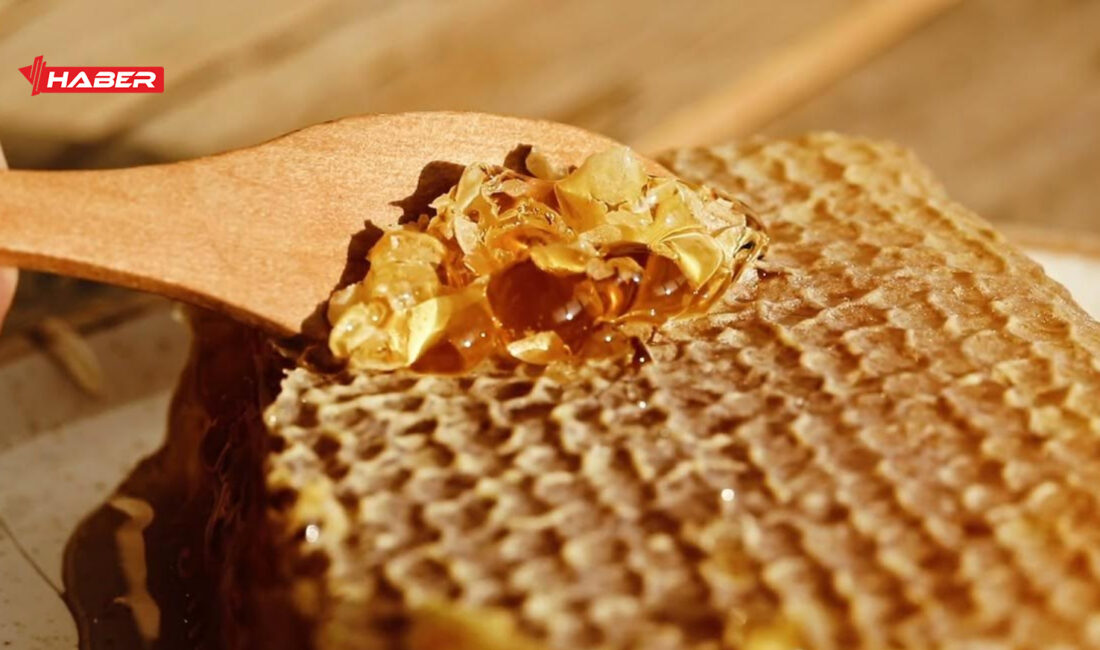 Son günlerde vatandaşların en çok merak ettiği sorulardan biri “Doğal