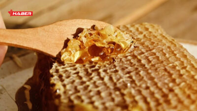 Son günlerde vatandaşların en çok merak ettiği sorulardan biri “Doğal