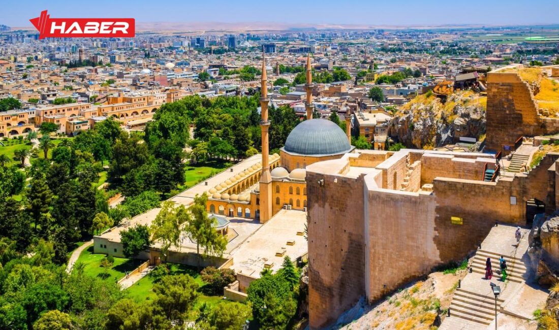 Son dönemin en çok konuşulan yapımlarından biri olan Halef Dizisi,