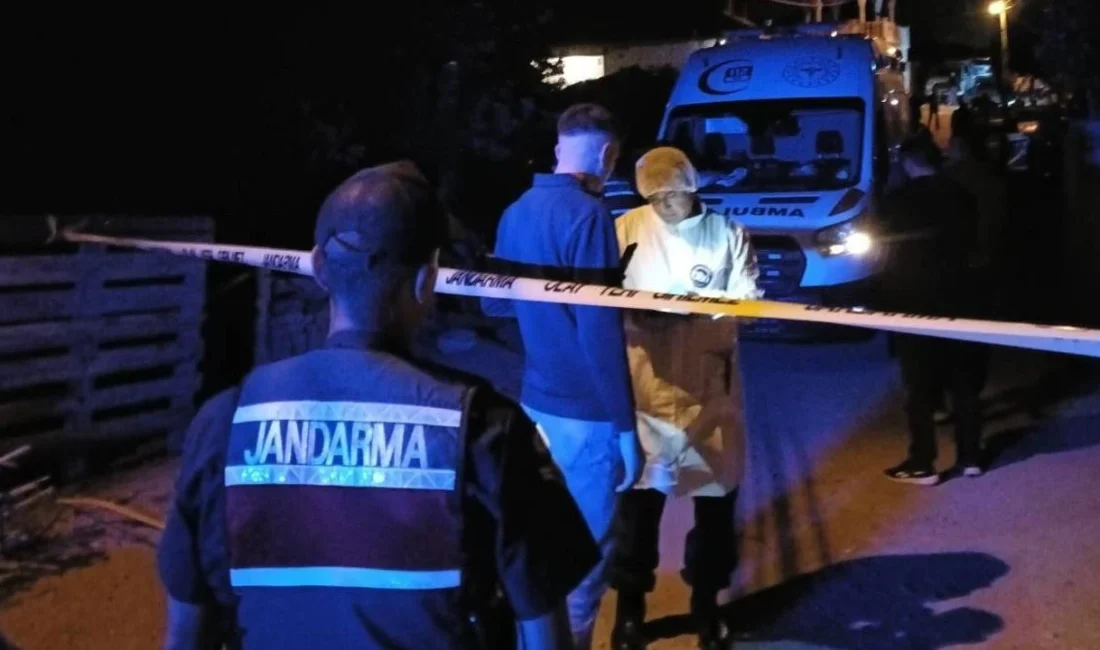 Akpınar ilçesinde bir şahıs, anne ve babasını bıçakla öldürdü, iki