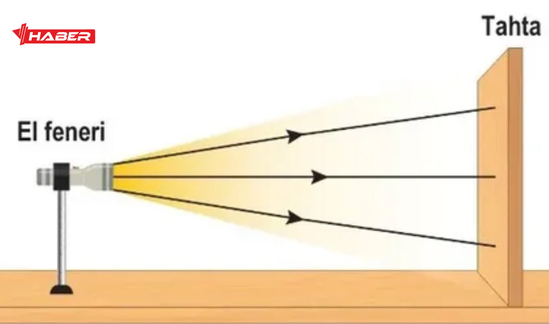 Günlük hayatta sıkça duyduğumuz ama çoğu kişinin tam olarak bilmediği