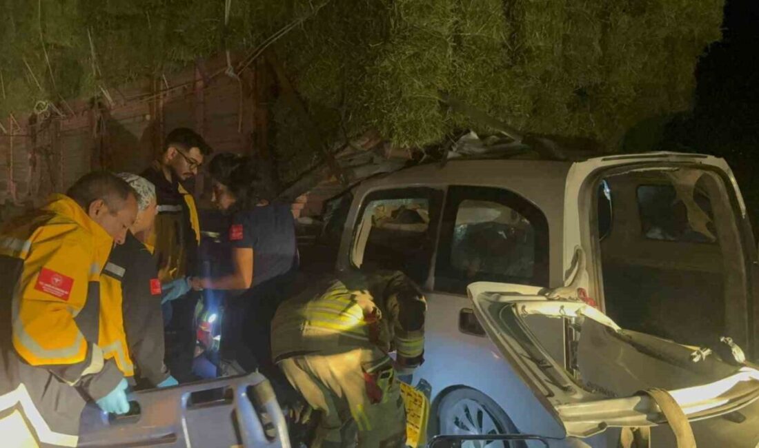 Ankara'nın Polatlı ilçesinde meydana gelen trafik kazasında, hafif ticari aracın