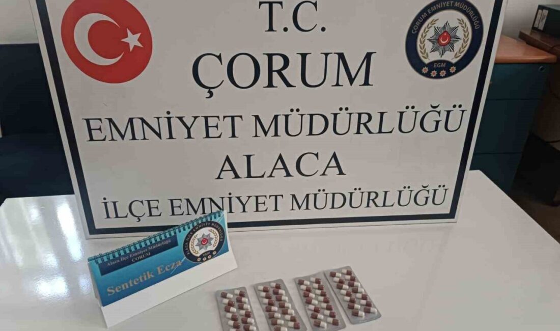Çorum'un Alaca ilçesinde polis ekipleri, şüpheli hareketlerde bulunan A.T., K.Ö.