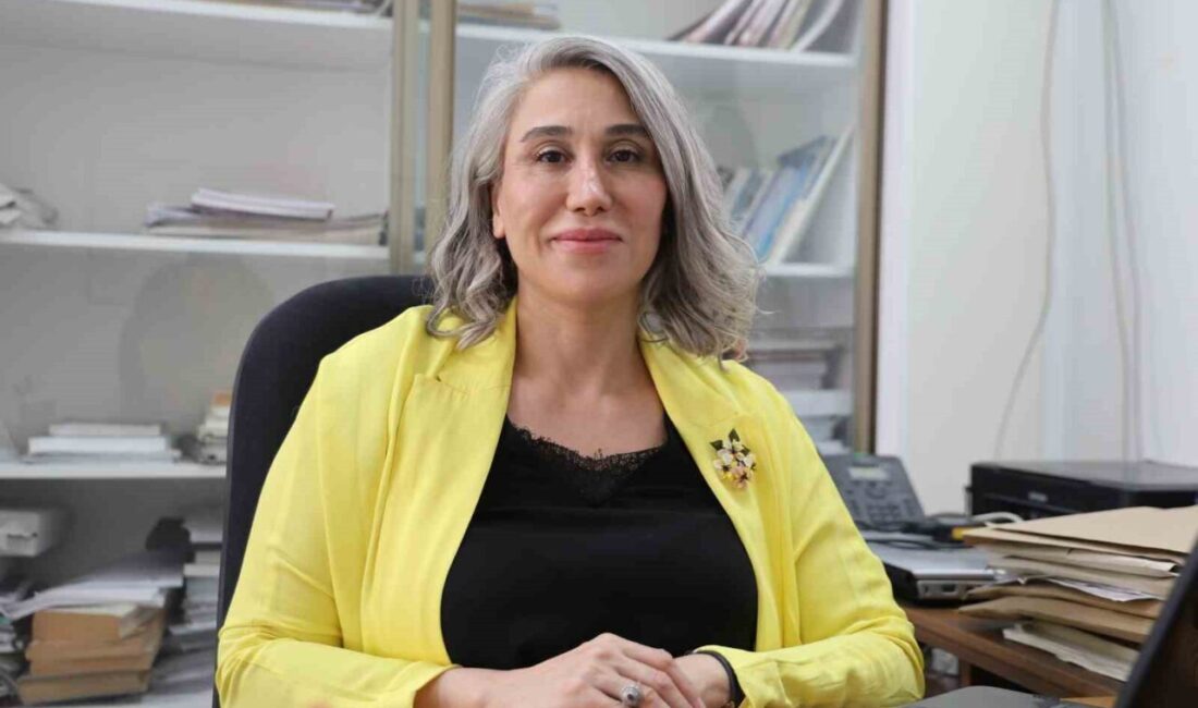 Prof. Dr. Canan Aksu Canbay, elektrikli araçlardaki yangın riski hakkında