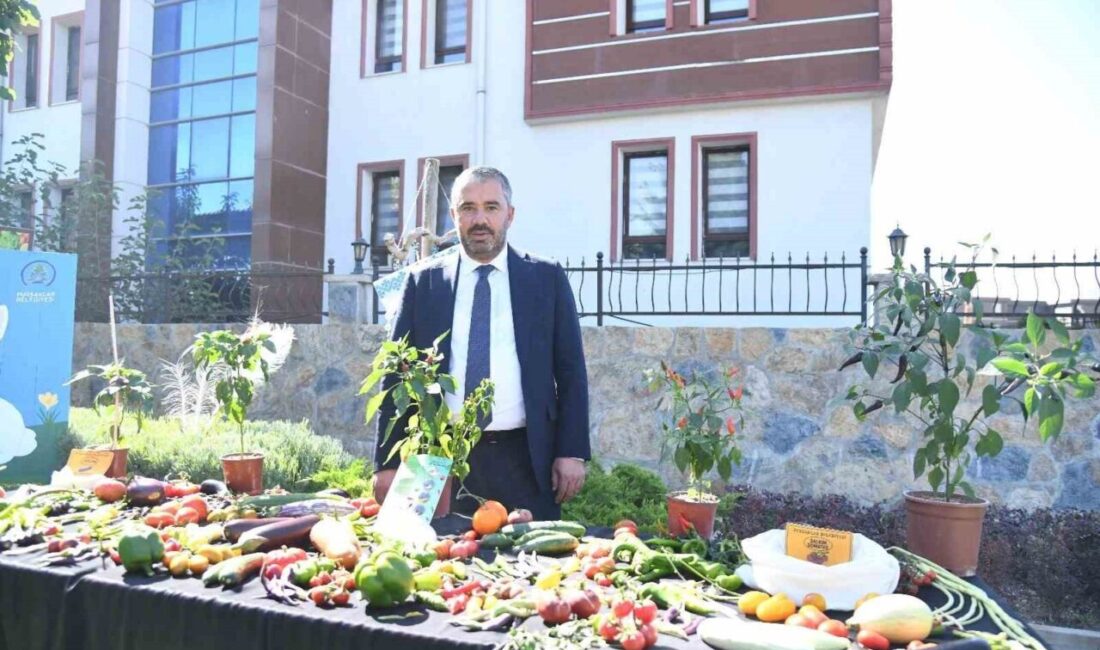 Pursaklar Belediyesi, tarımsal üretimi desteklemek amacıyla Ata Tohumları'ndan elde ettiği