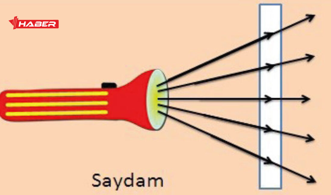 Günlük hayatta sıkça duyduğumuz ama çoğu zaman tam olarak ne
