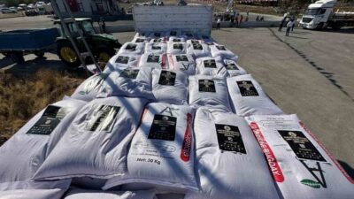 Sincan Belediyesi, çiftçilere destek olmak için hibeli buğday tohumu desteği