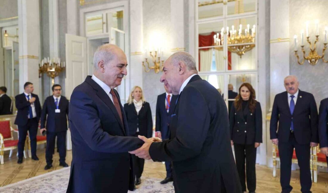 TBMM Başkanı Numan Kurtulmuş, Macaristan Cumhurbaşkanı ile görüşerek Türkiye-Macaristan ilişkilerinin