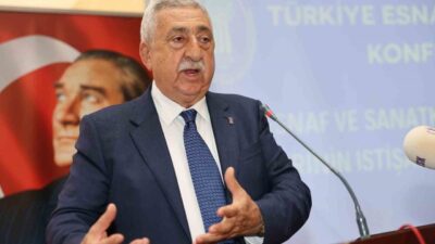 TESK Başkanı Bendevi Palandöken, basit usul mükellef esnafın gerçek usule