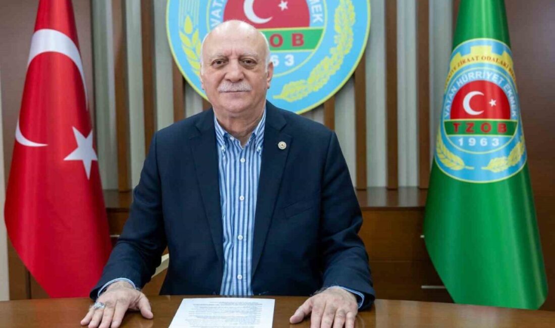 TZOB Genel Başkanı Şemsi Bayraktar, eylül ayında marulun fiyatının yüzde
