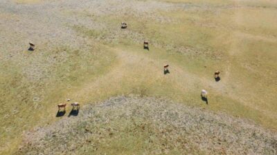 Gelingüllü Barajı'ndaki su seviyesindeki dramatik değişim, köyde kaçınılmaz kuraklık tehlikesini