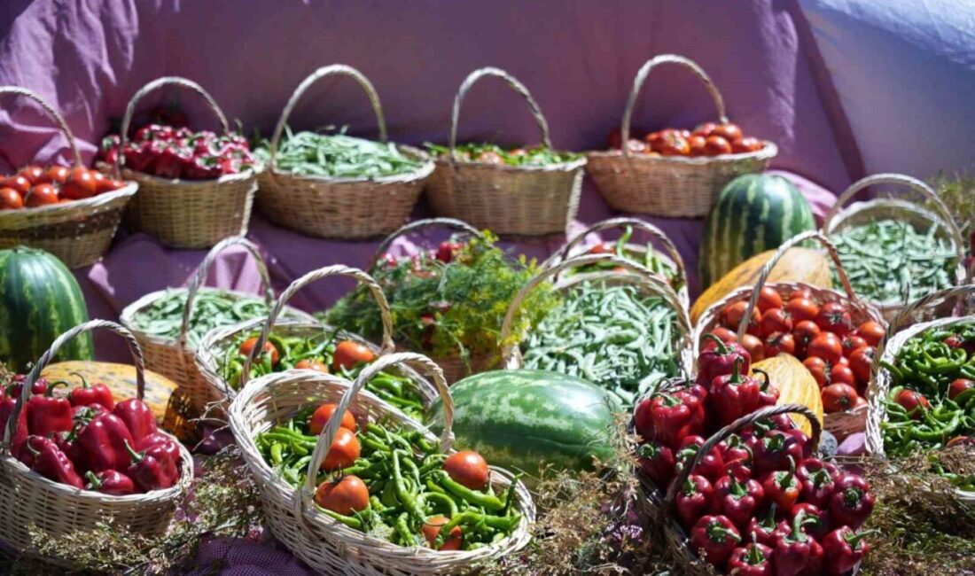 Ankara'nın Çubuk ilçesinde 17. Uluslararası Çubuk Turşu ve Kültür Festivali