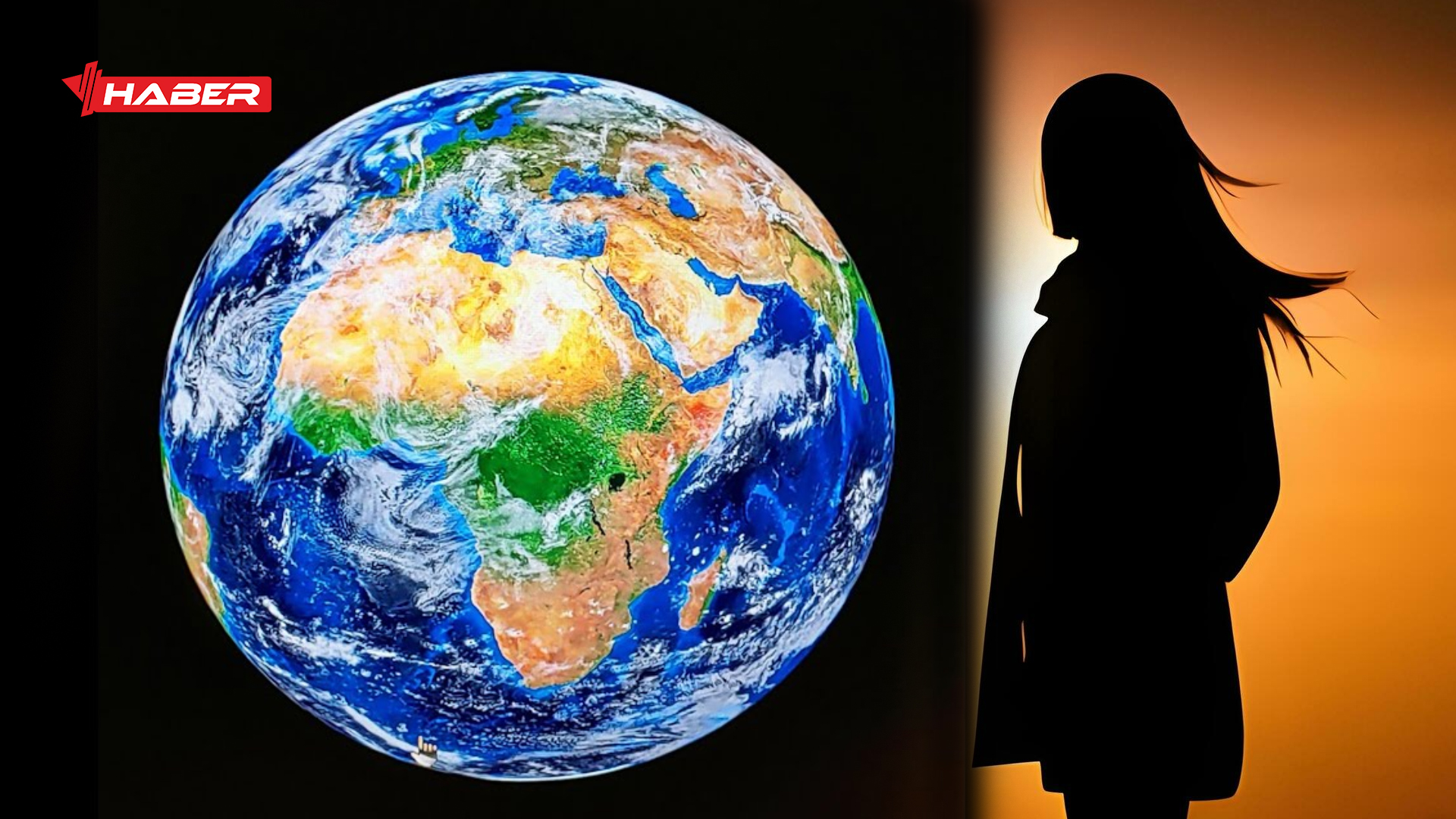 statista araştırma