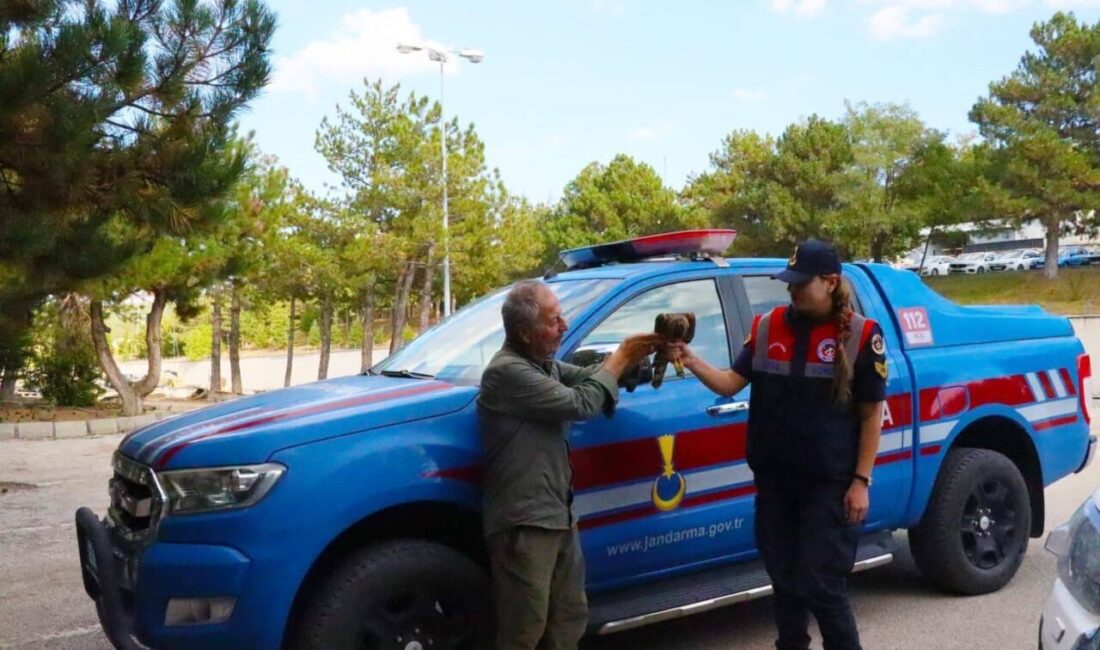 Yozgat'ta bulunan yaralı Çakır kuşu, Çevre Doğa ve Hayvanları Koruma