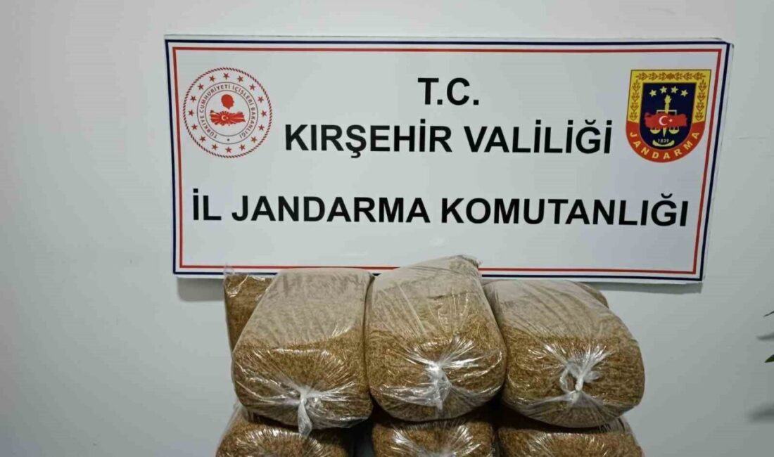 Kırşehir'de düzenlenen operasyonda yolcu otobüsünde 42 kilogram kaçak tütün ele