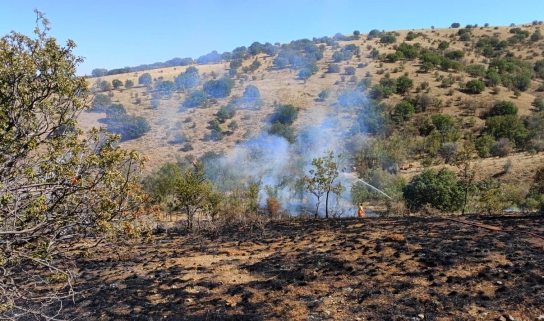 Yozgat'ta Lök Köyü'nde çıkan yangın, hızlı müdahale ile kontrol altına
