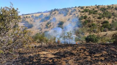 Yozgat'ta Lök Köyü'nde çıkan yangın, hızlı müdahale ile kontrol altına