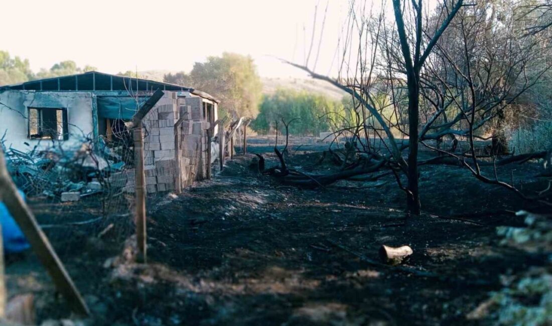 Yozgat'ta Fakıbeyli köyünde çıkan yangında bir ev ve 20 dönüm