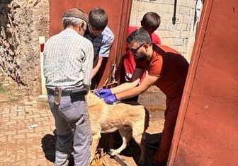 Yerköy Kaymakamlığı, il genelinde sahipli hayvanların kuduz aşısı ve mikroçip