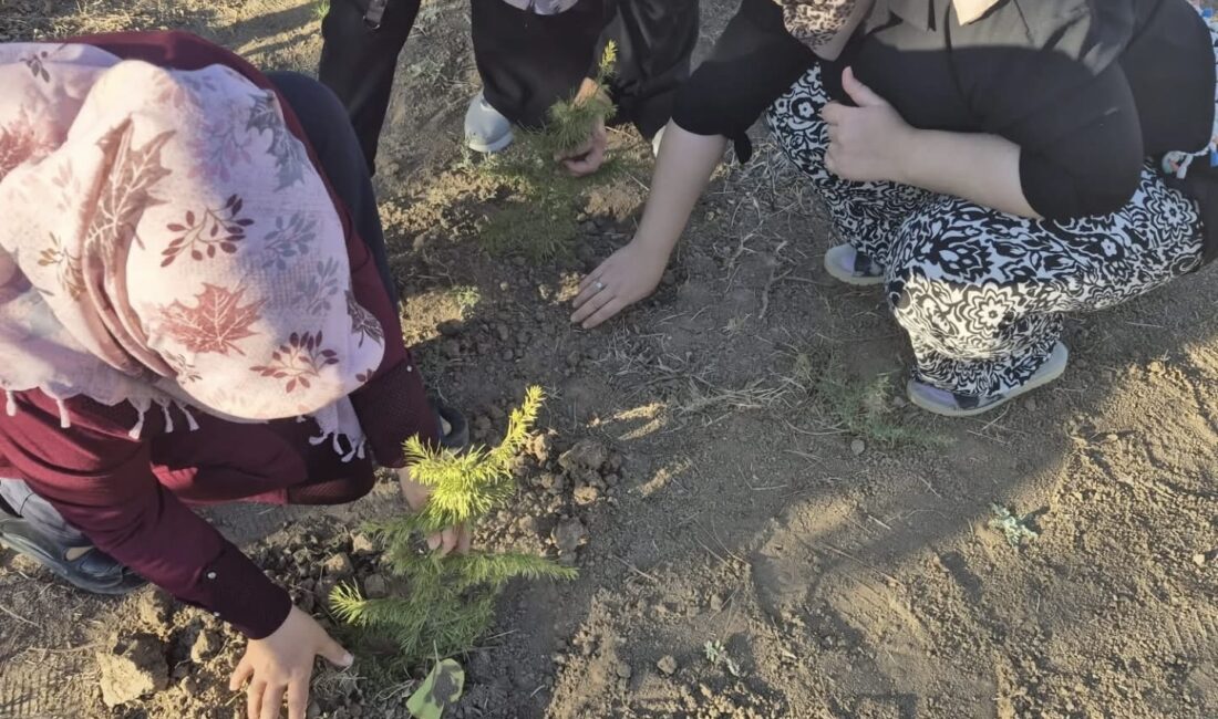 Yerköy Halk Eğitim Merkezi Müdürlüğü tarafından yürütülen sosyal sorumluluk faaliyetleri