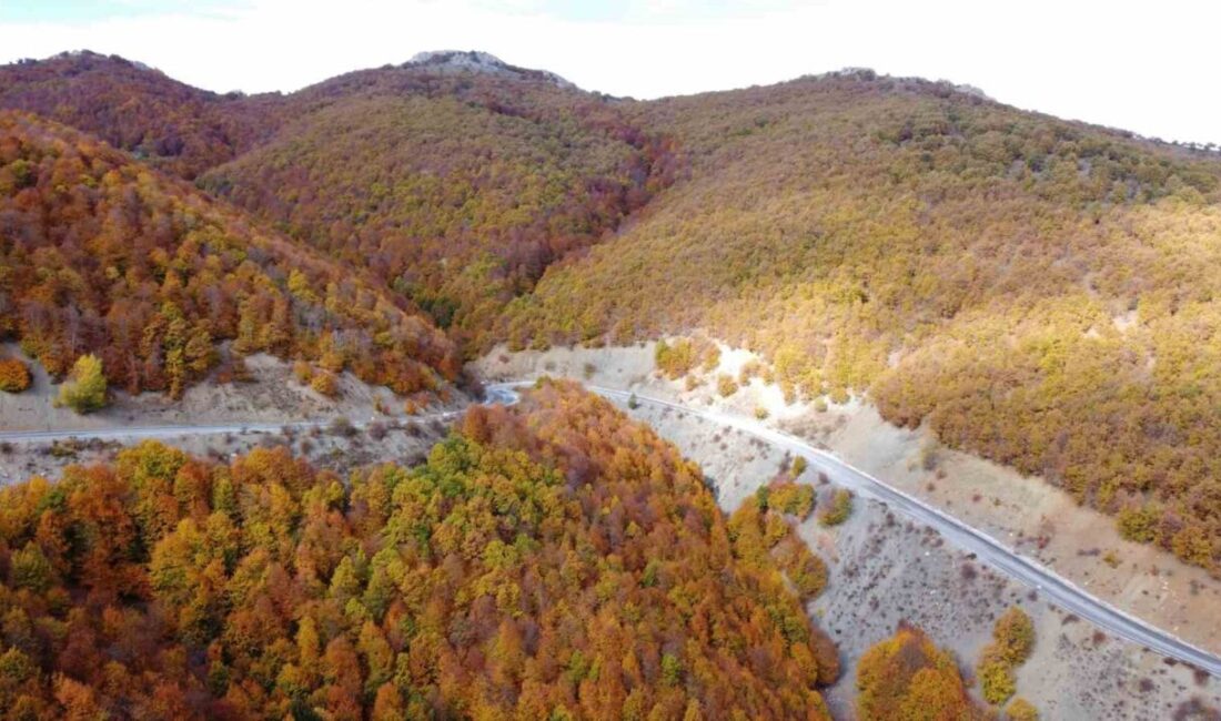 Yozgat ile Aydıncık arasındaki bin 550 rakımlı Şebek Geçidi, sonbaharın